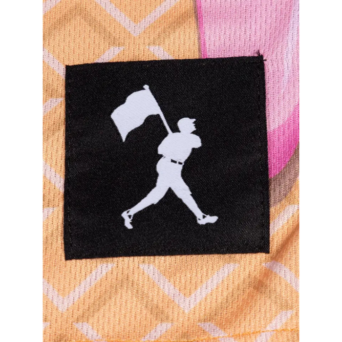 Boys' Baseballism Youth Frozen Treats Ice Cream Shorts - PINK