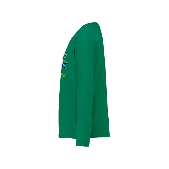 Boys' Under Armour Toddler Retro Logo Longsleeve - 378 GRN