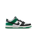 Boys'/Girls' Nike Youth Dunk Low - 101