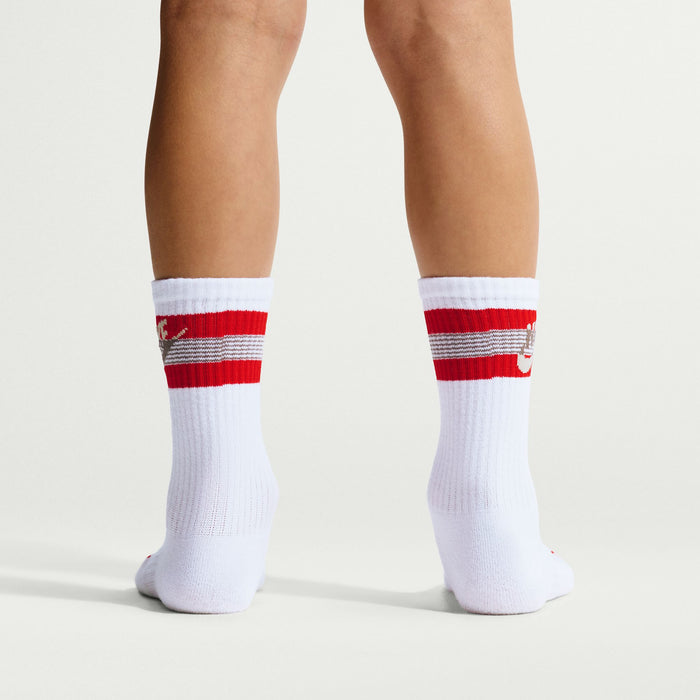 Boys'/Girls' Nike Youth Stripe 6-Pack Everyday Cushioned Crew Socks - 904 - RED