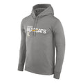 Men's Kearney High Bearcats Nike Legends ThermaFit Hoodie - GRYHTHR
