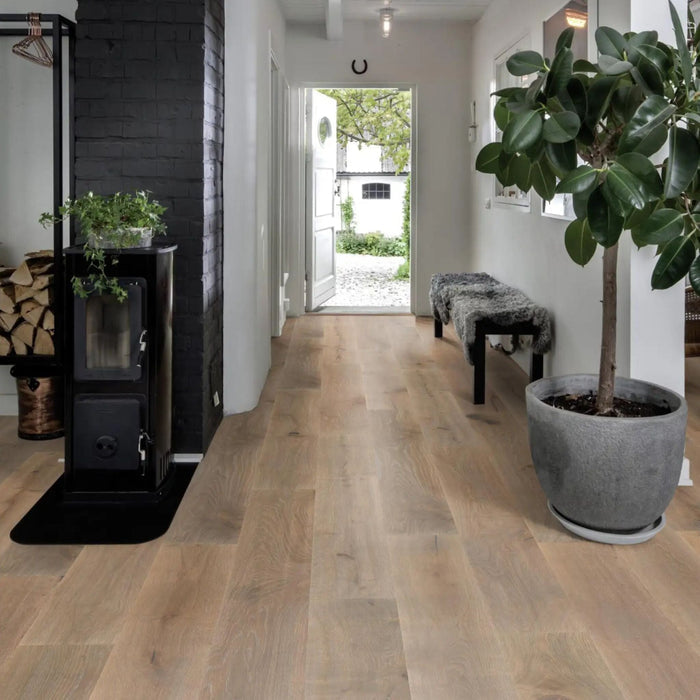 Modern interior hallway with wooden flooring, a black stove, and a potted plant.