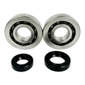 S23 Elite & Dio AF16/18 Crank Bearing and Seal kit - ScooterSwapShop