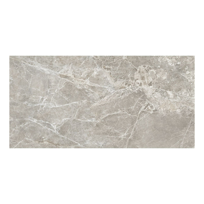 Rectangular tile with a grey marble pattern with white veining detail.